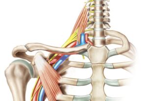 Peripheral-Nerve-Surgery-Treatment