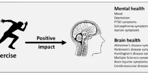 The Impact of Exercise on Brain Health: Preventing Neurodegenerative Diseases